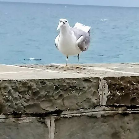 Enej Διαμέρισμα Πιράν